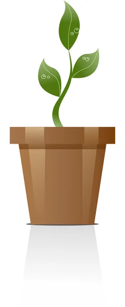 Planta con maceta — Image vectorielle