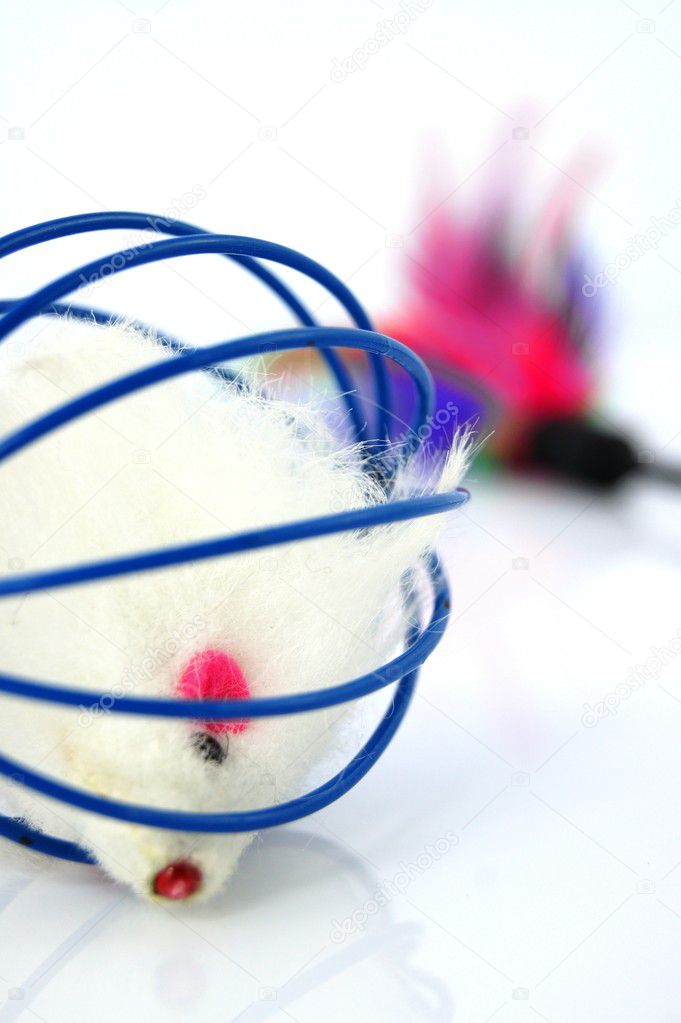 Cat's toys on white background with reflection