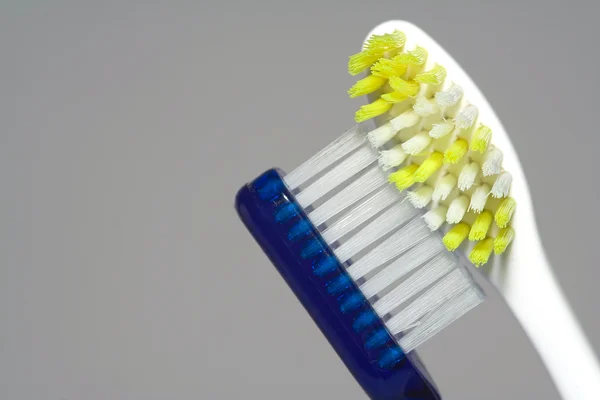 Οδοντόβουρτσες — Φωτογραφία Αρχείου