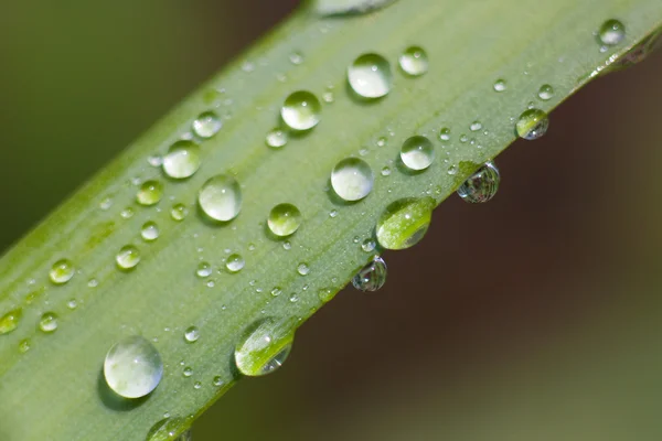 stock image Water drop, Burgos, Castilla y Leon, Spain