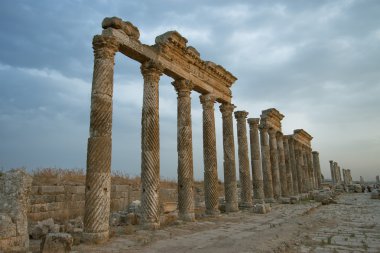 Şehir aphamia, Suriye