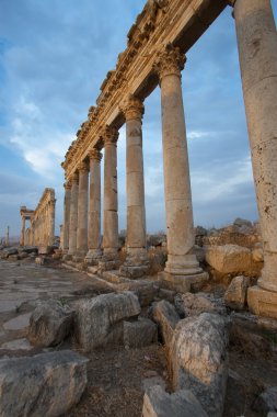 Columns in Aphamia, Syria clipart