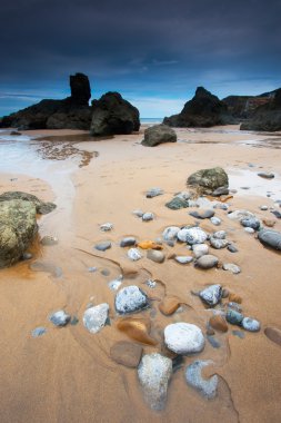 Beach of Bakio , Bizkaia, Spain clipart