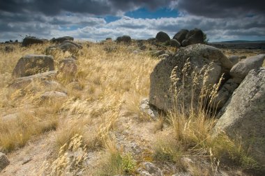 manzara avila ili, castilla y leon, İspanya