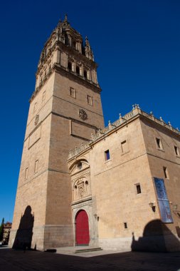 Katedral Salamanca, castilla y leon, İspanya