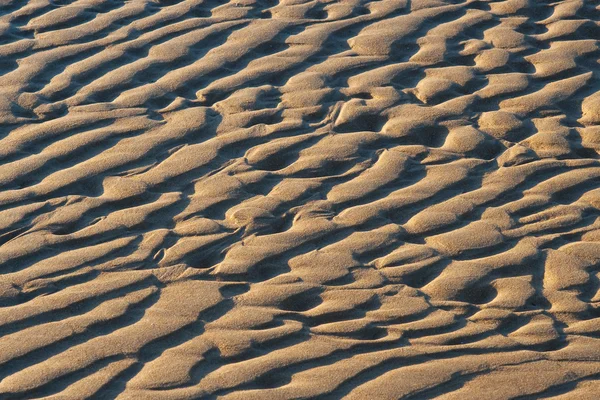 Texture in the sand — Stock Photo, Image