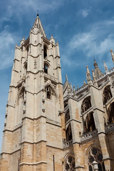 Torre de sino da catedral de Leão, Castela e Leão, Espanha — Fotografia de Stock
