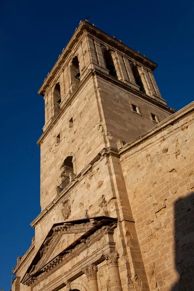 Zvonice katedrály ciudad rodrigo, salamanca, Španělsko — Stock fotografie