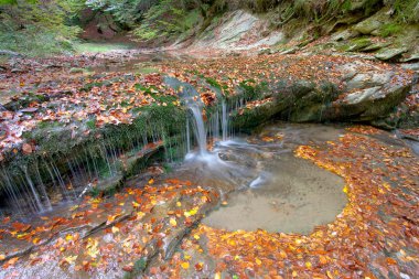 Waterfall in the forest of Irati clipart