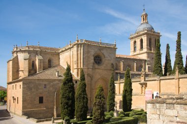 Cathedral of Ciudad Rodrigo clipart