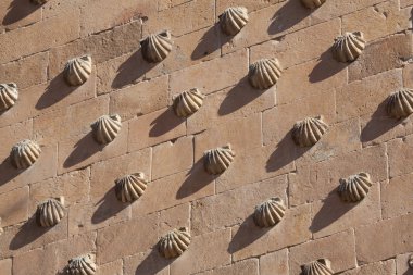 House of the shells, Salamanca, Castilla y Leon, Spain