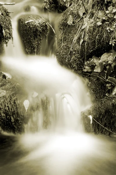 Water sprong in de buurt van valvanera klooster, la rioja, Spanje — Stockfoto