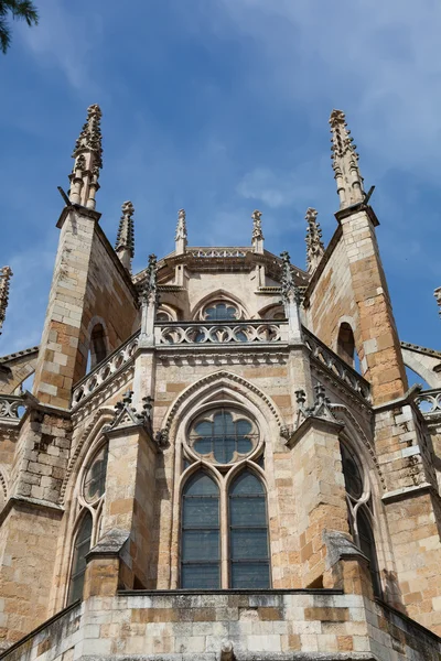 Kathedraal van León, castilla y leon, Spanje — Stockfoto