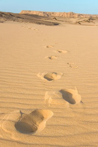 砂漠、baharya、エジプトでのフット プリント — ストック写真