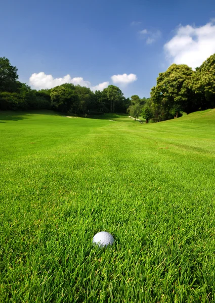 stock image Golf course