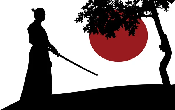 Samurai. — Vector de stock