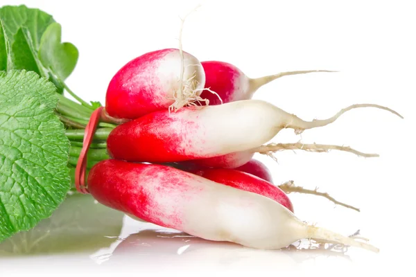 Red radish with green leaves — Stock Photo, Image