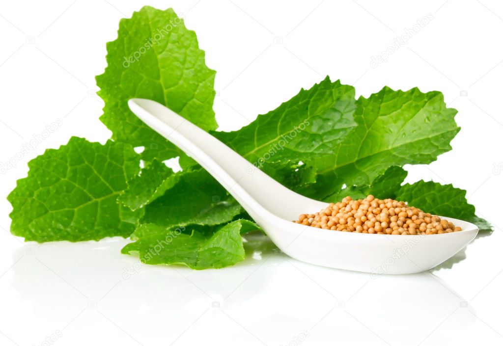 Leaves and seed mustard in spoon