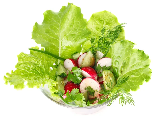 Taze sebze ve yeşillik salatası — Stok fotoğraf