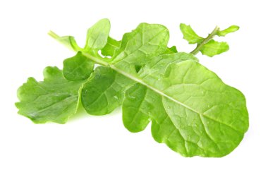 rucola sulu taze yaprakları