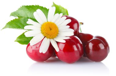 Olgun yeşil yaprakları ve papatya ile neşeli