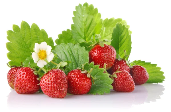 Reife Erdbeere mit grünen Blättern — Stockfoto