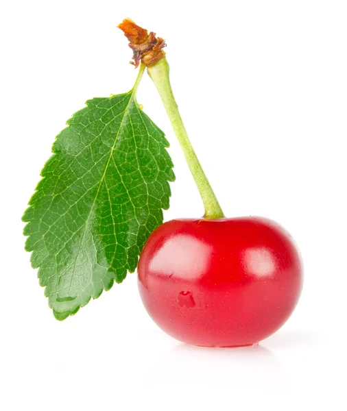 Sweet juicy cherry with green leaf — Stock Photo, Image