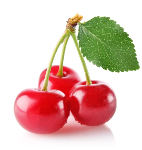 Három édes szaftos cseresznye, zöld levél — Stock Fotó