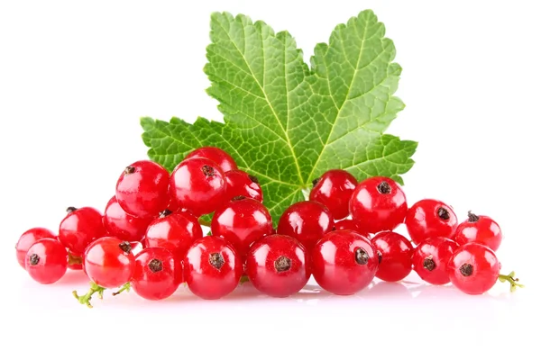 Red currant with green leaf — Stock Photo, Image