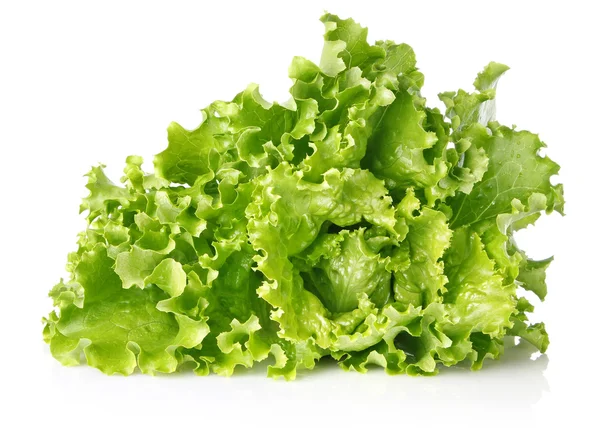 stock image Fresh juicy leaves of lettuce