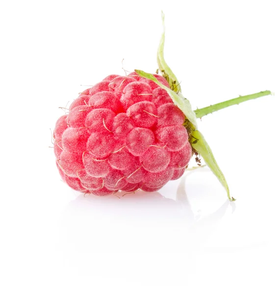 Sweet ripe raspberry — Stock Photo, Image