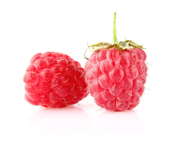 甜成熟莓 — 图库照片