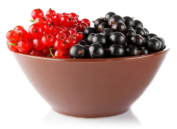 Red and black currant in clay tureen — Stock Photo, Image