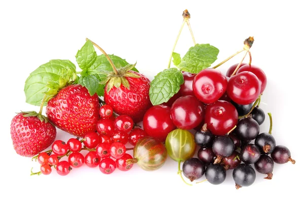 Masih hidup berry — Stok Foto