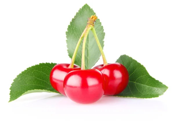 Sweet juicy cherry with green leaf — Stock Photo, Image
