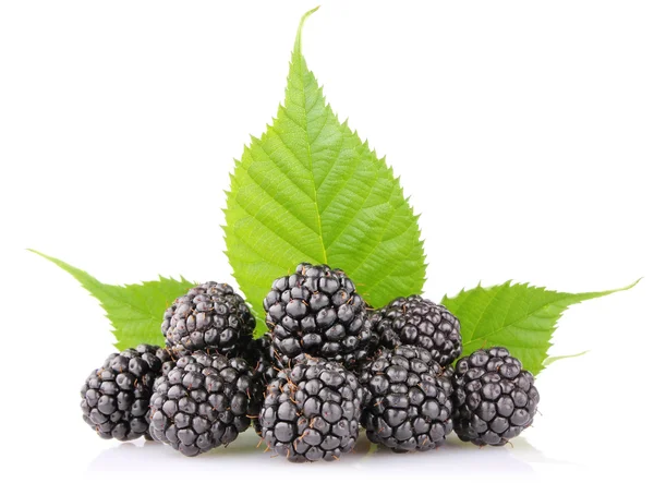 Ripe blackberry with green leaf — Stock Photo, Image