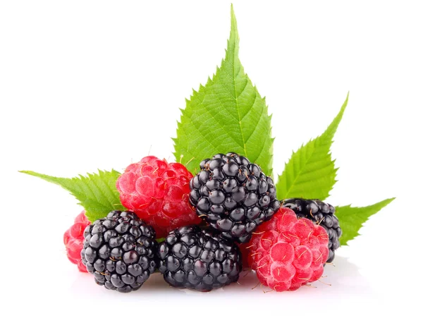 Raspberry and blackberry with green leaf — Stock Photo, Image