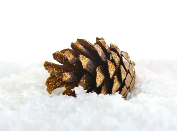 Pinecone in snow — Stock Photo, Image