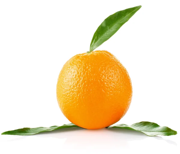 Зрізати апельсин зеленим листям — стокове фото