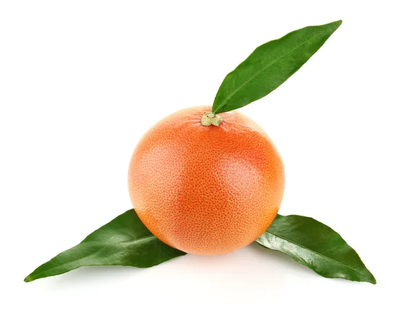 Mogen grapefrukt med gröna blad — Stockfoto