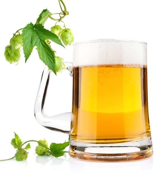 Cerveza ligera con lúpulo aromático —  Fotos de Stock