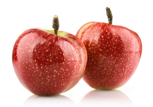 Apel matang merah — Stok Foto