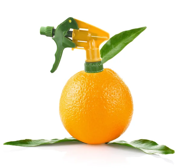 Творча концепція апельсина — стокове фото