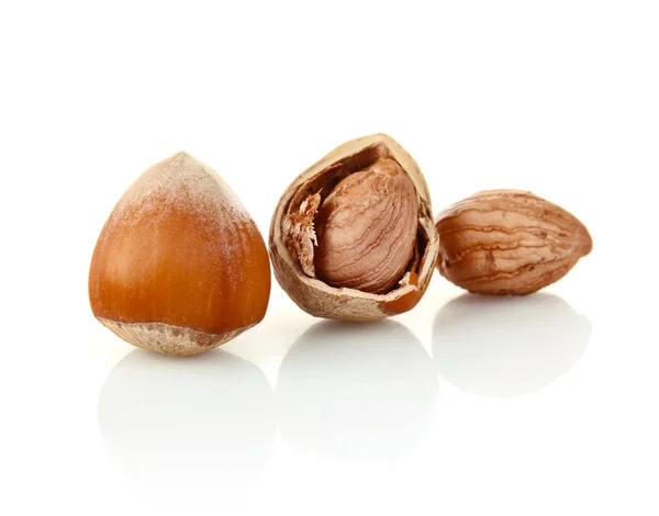 Hazelnut in shell and without — Stock Photo, Image