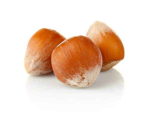 Three hazelnut — Stock Photo, Image