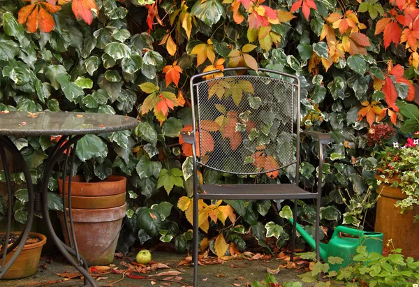 Herfst in de tuin Stockfoto