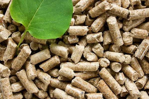 Montón de pellets de madera con una hoja verde — Foto de Stock