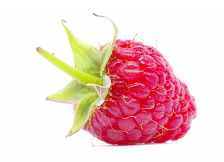 Framboise 