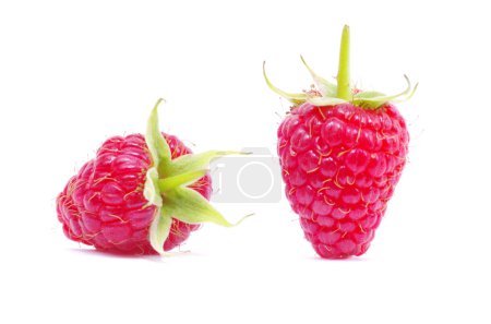Framboise 
