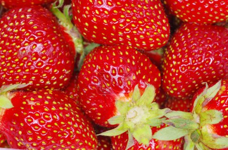 fraise